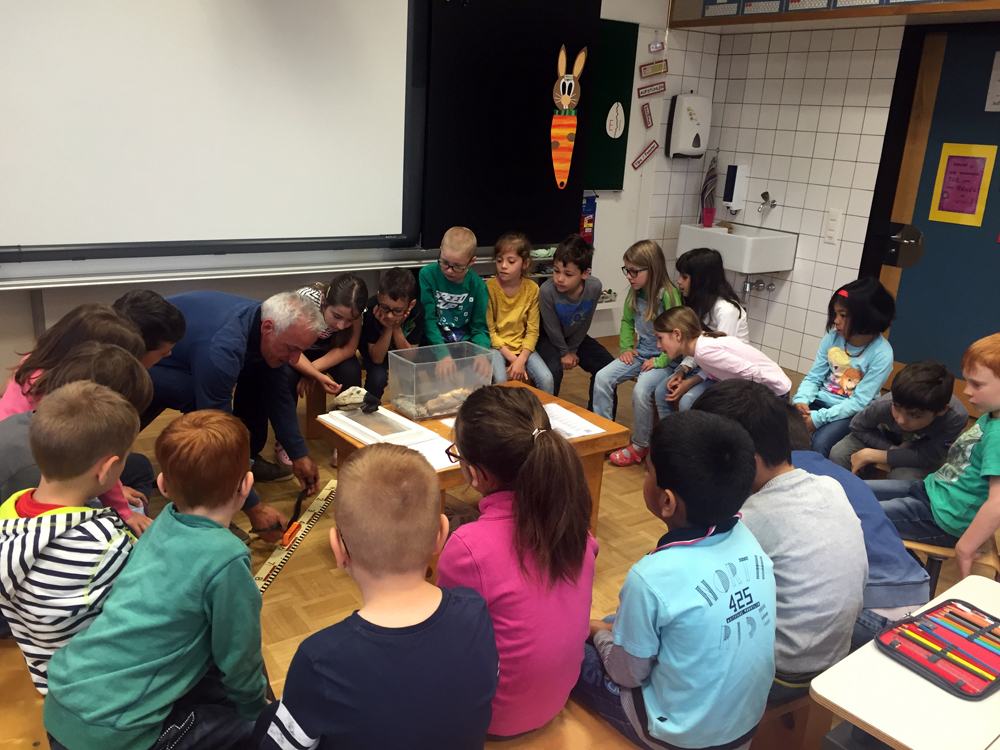 schlangen im schulzimmer 2016 01