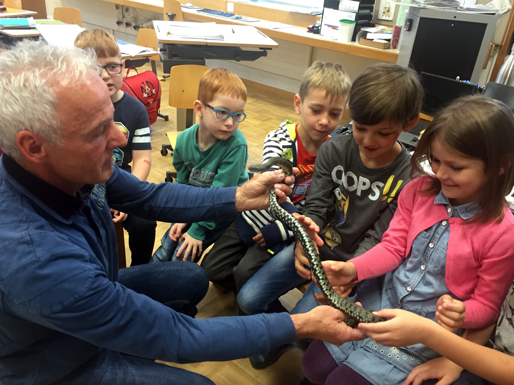 schlangen im schulzimmer 2016 08